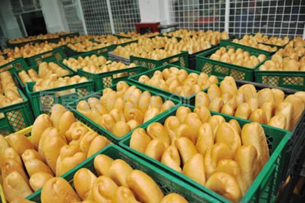 現(xiàn)代面包工廠 食品生產(chǎn)的科學流程與質(zhì)量管理